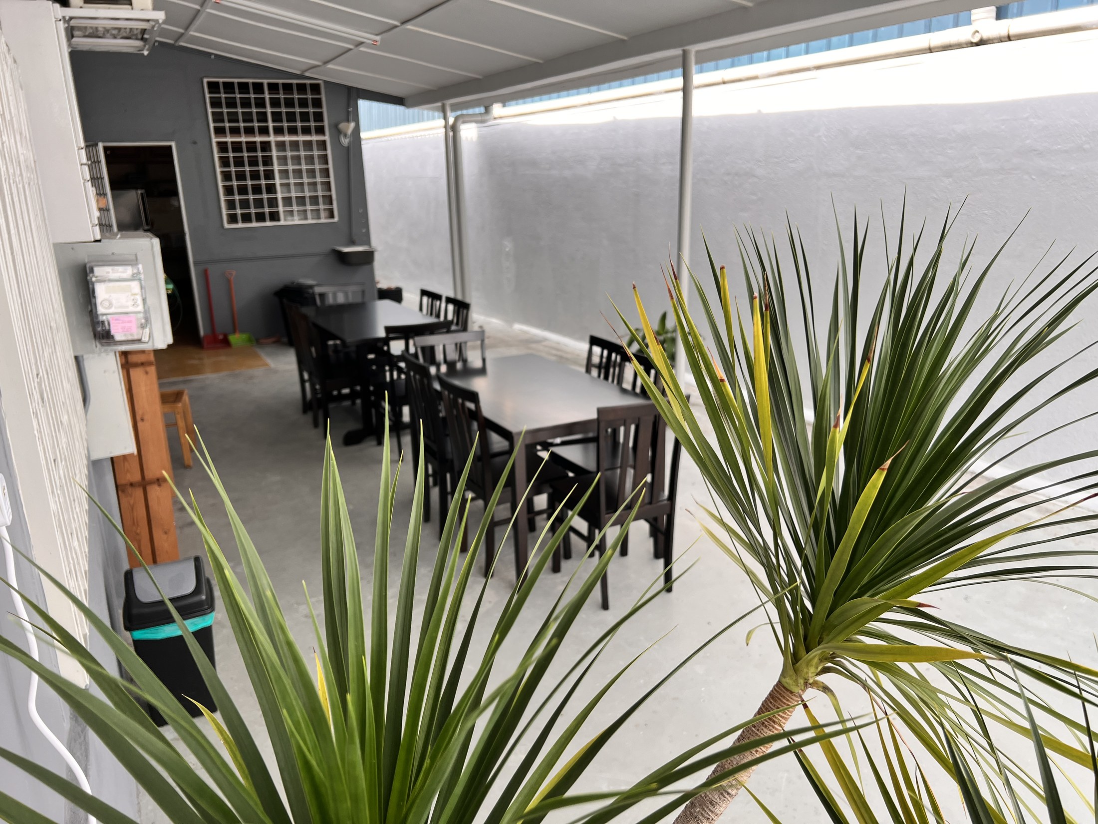 Outdoor seating among plants